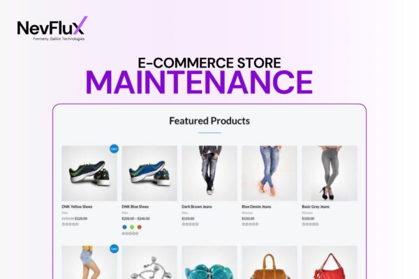 Ecommerce Store Maintenance Plan